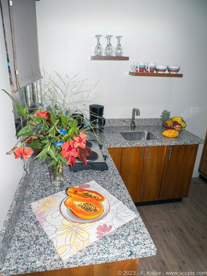 Luxury Apartments Nauyaca By Paradiselodge Platanillo Dış mekan fotoğraf